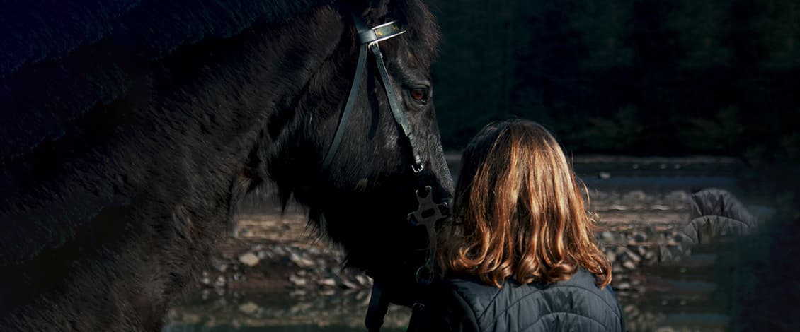 Pony, cani, asini e cavalli: quanti benefici dalla “pet therapy”